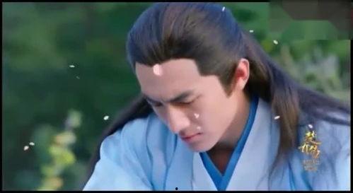 谁爆料的赵丽颖最美视频,揭秘网友热议的惊艳视频